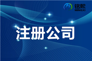 公司注冊各種類型的特點